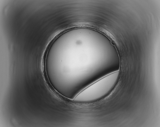 X0000096171082200801180825