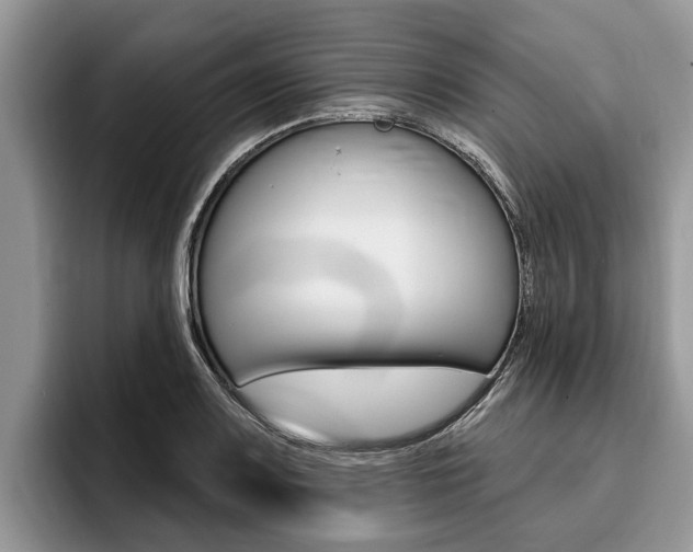 X0000096171083200801180825