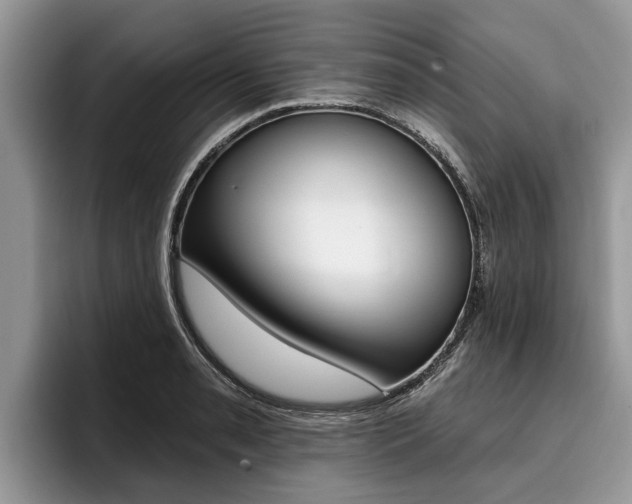 X0000096171085200801180825