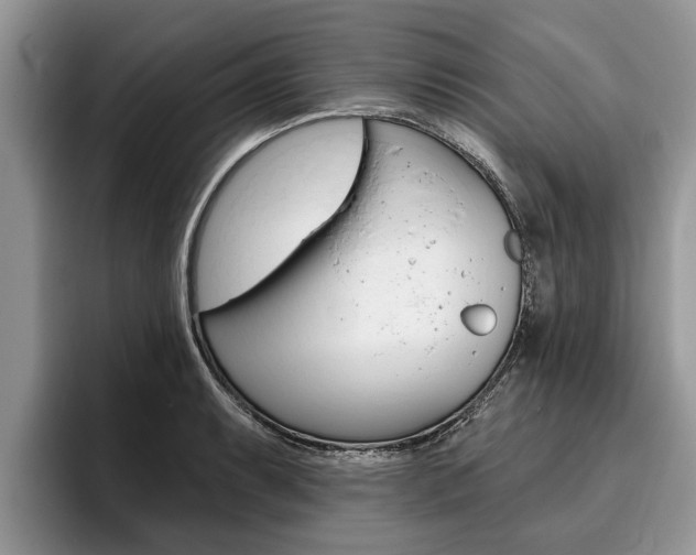 X0000096171087200801180825
