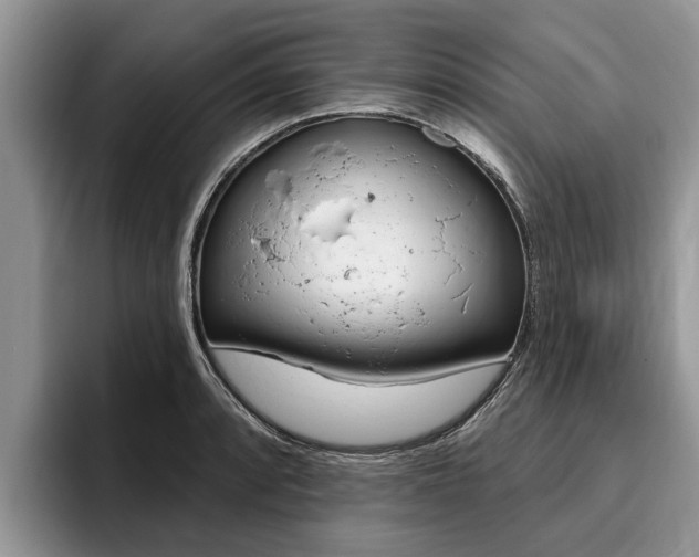 X0000096171088200801180825