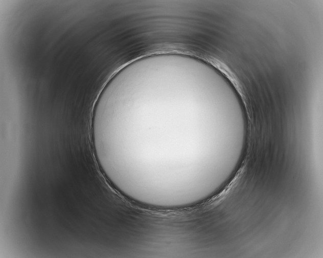 X0000096171089200801180825