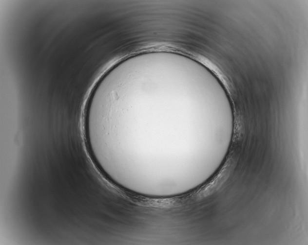 X0000096171090200801180825