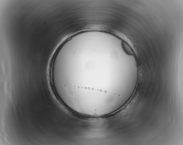 X0000096171091200801180825