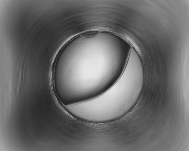 X0000096171092200801180825