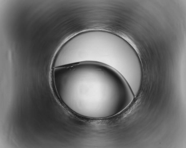 X0000096171093200801180825
