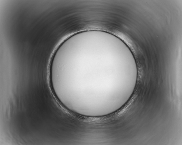X0000096171094200801180825