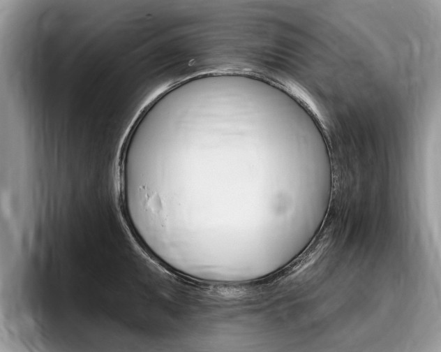 X0000096171095200801180825