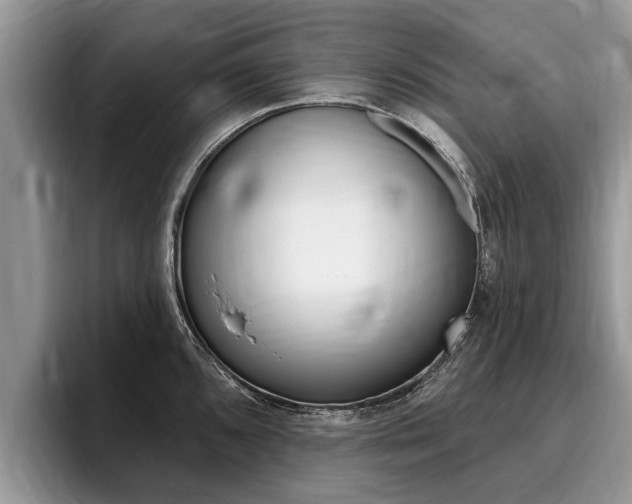X0000096171096200801180825