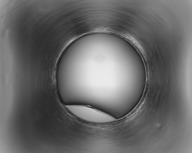X0000096171097200801180825