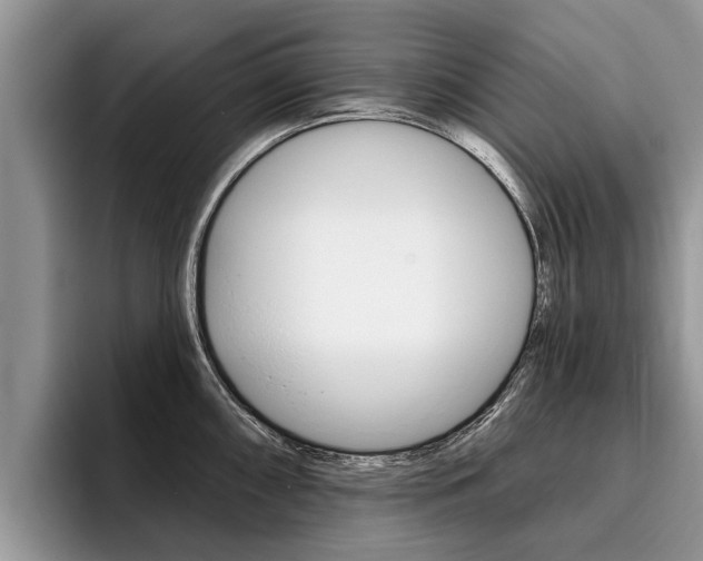 X0000096171098200801180825
