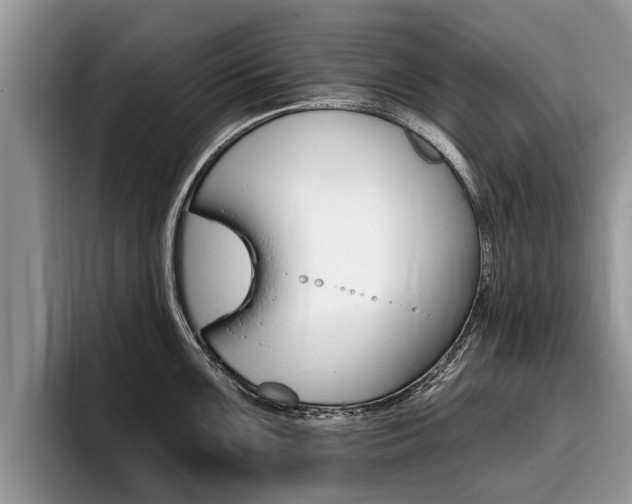 X0000096171099200801180825