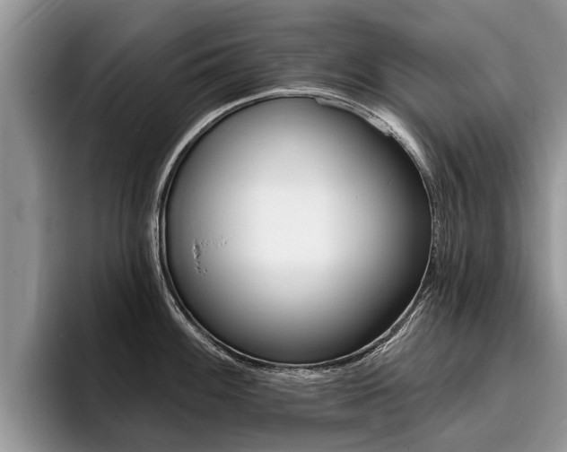 X0000096171100200801180825