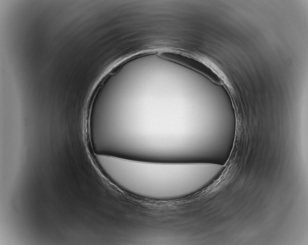 X0000096171101200801180825