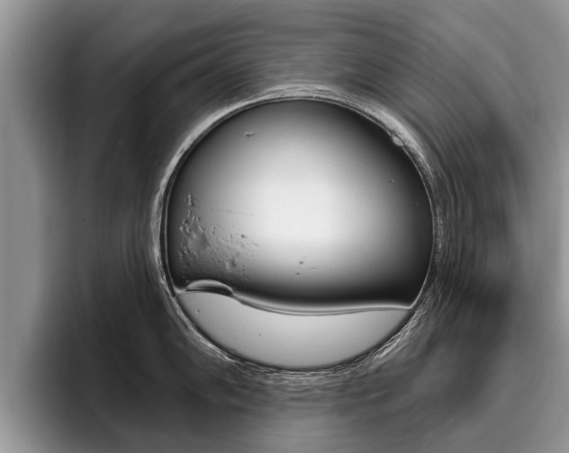 X0000096171102200801180825