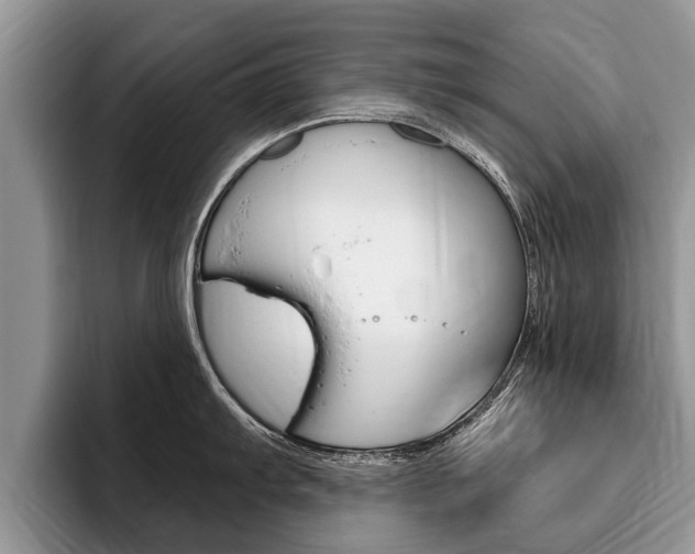 X0000096171103200801180825
