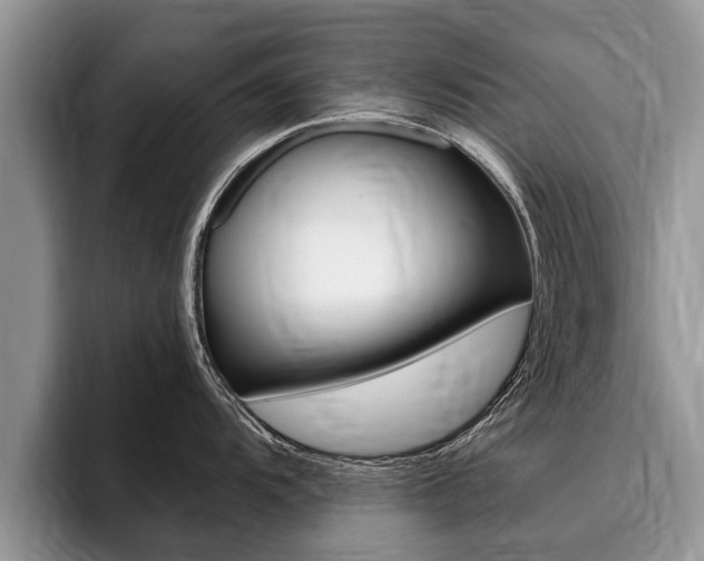 X0000096171104200801180825