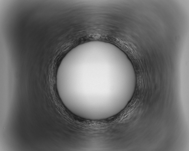 X0000096171105200801180824