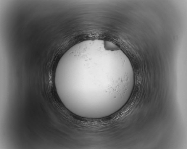 X0000096171106200801180824