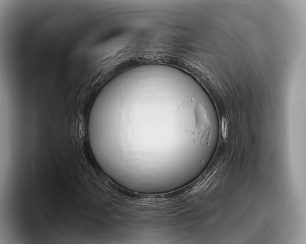 X0000096171107200801180824