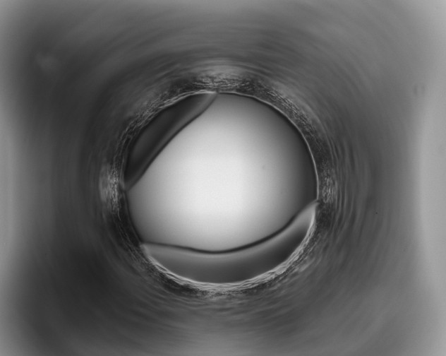 X0000096171108200801180824