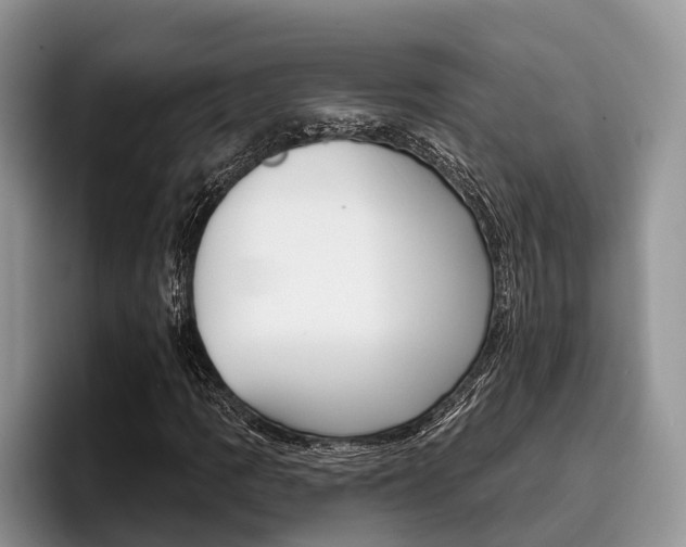 X0000096171109200801180824