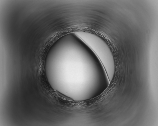 X0000096171110200801180824