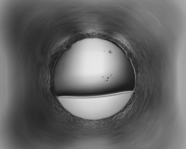 X0000096171111200801180824