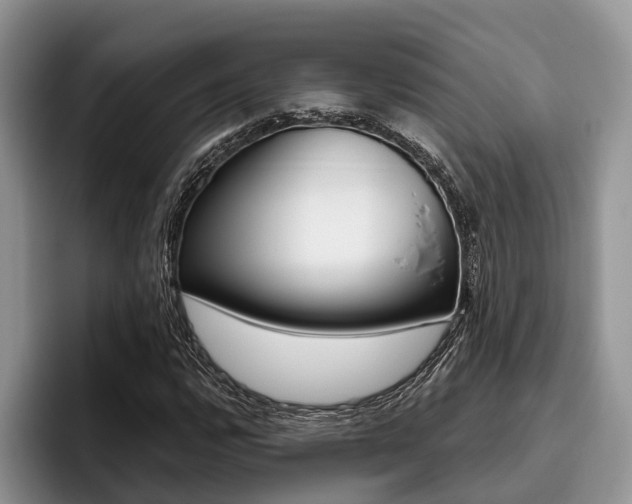 X0000096171112200801180824
