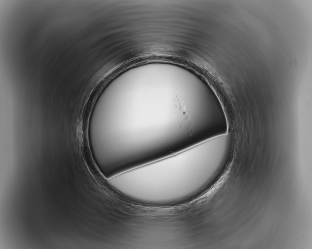 X0000096171113200801180824