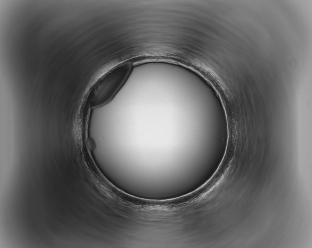 X0000096171114200801180824