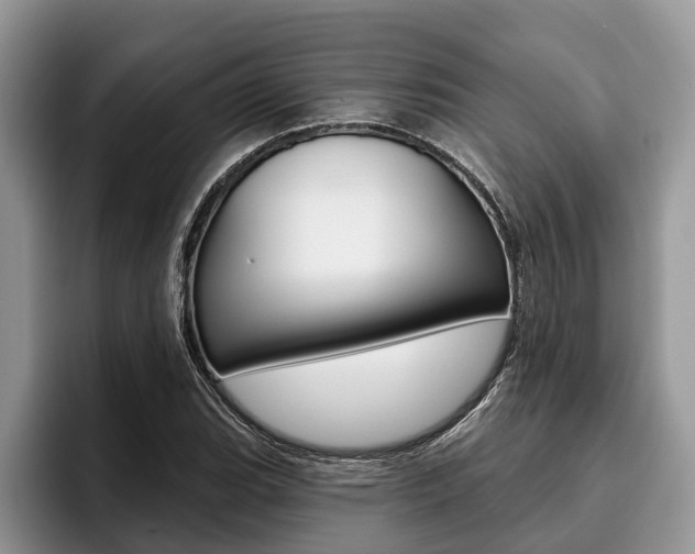 X0000096171119200801180825