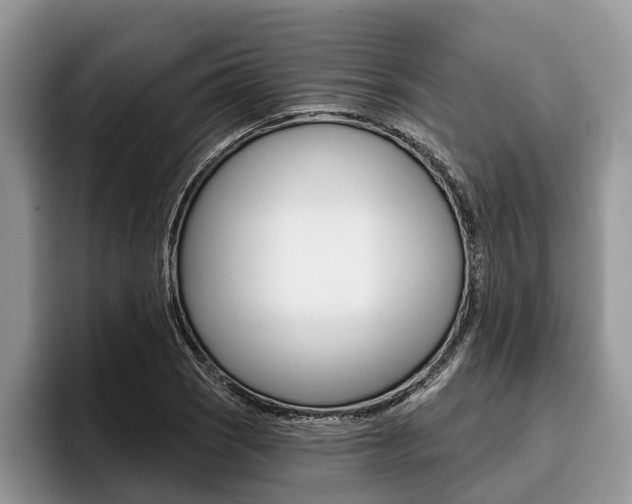 X0000096171121200801180825
