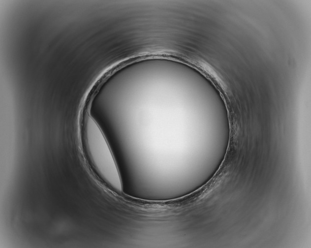 X0000096171124200801180825