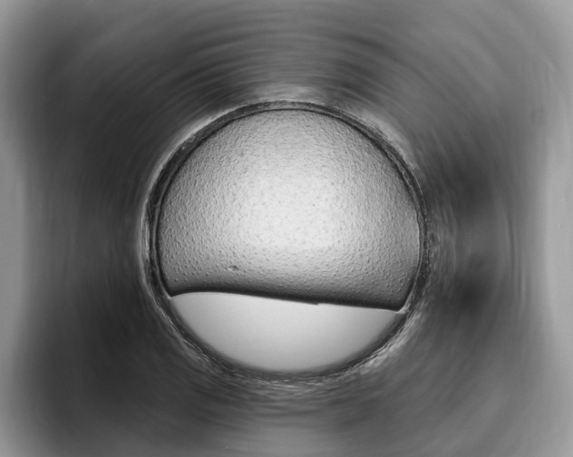 X0000096171125200801180825