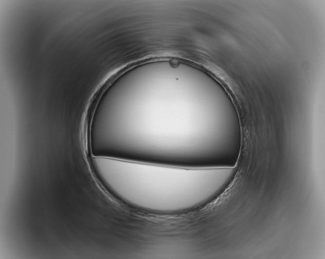 X0000096171127200801180825