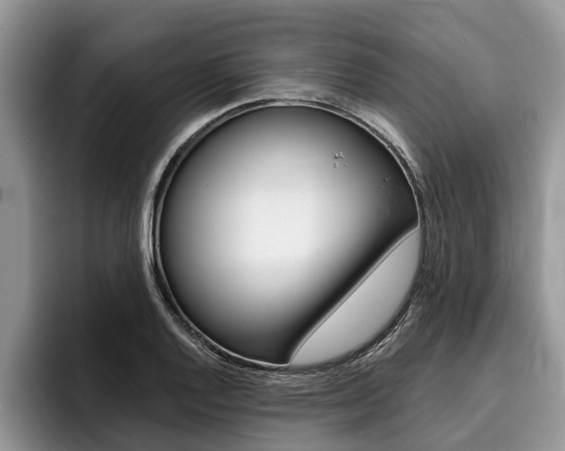 X0000096171128200801180825