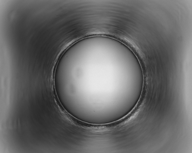 X0000096171129200801180825