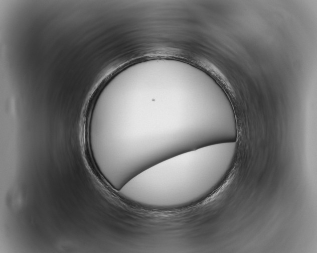 X0000096171130200801180825