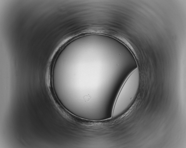 X0000096171131200801180825