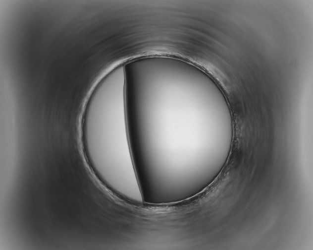 X0000096171134200801180825