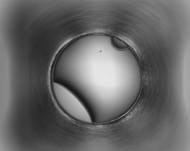 X0000096171135200801180825