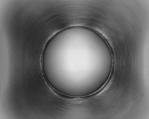 X0000096171137200801180825