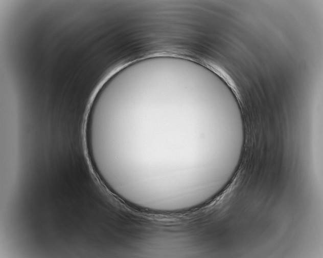 X0000096171138200801180825