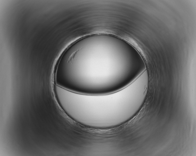 X0000096171140200801180825
