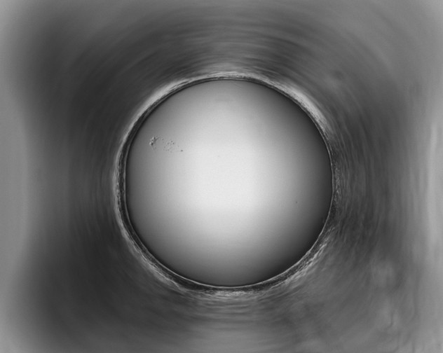 X0000096171142200801180825