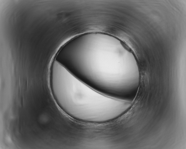 X0000096171143200801180825