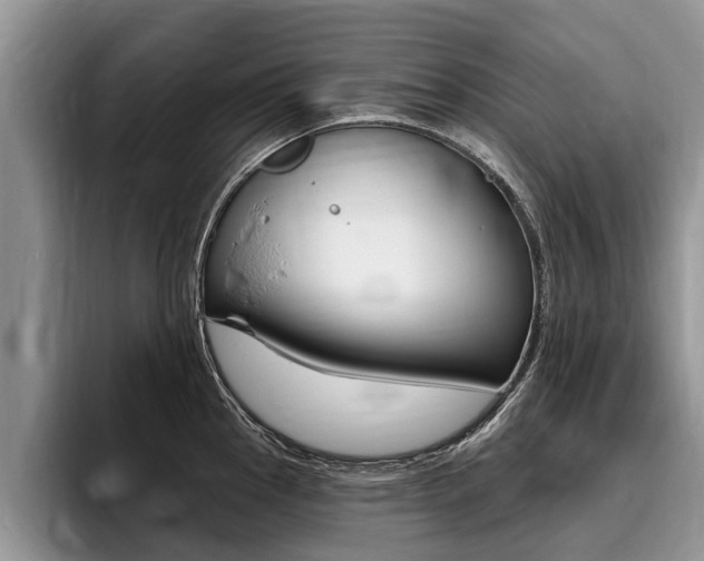 X0000096171145200801180825