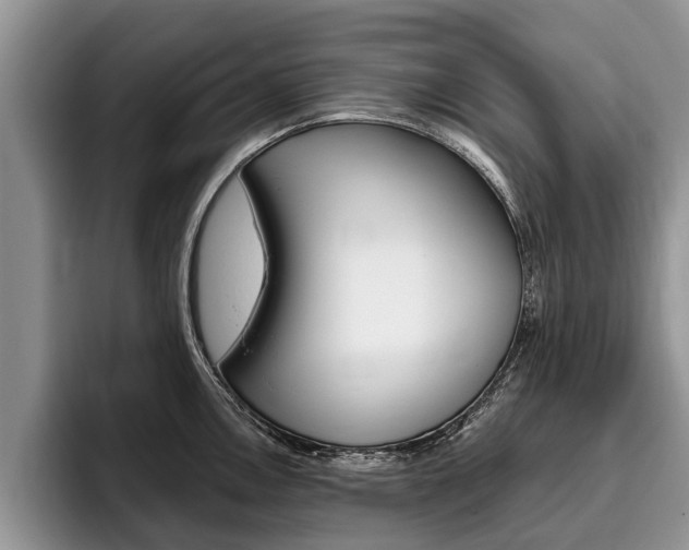 X0000096171146200801180825