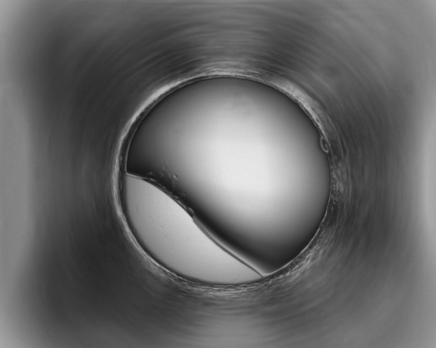 X0000096171147200801180825